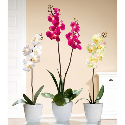 Orchidea kaspóban led világítással