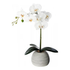 Fehér óriás orchidea cement kaspóban 53cm