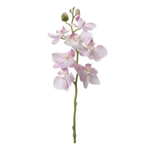 40cm magas orchidea 7 virággal, bimbókkal fehér és rózsaszín színben