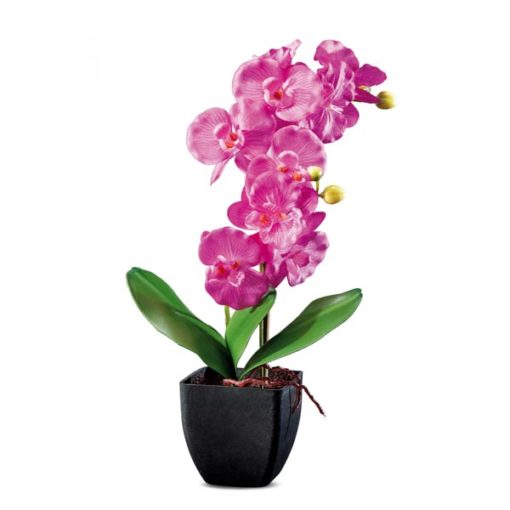 Rózsaszín óriás orchidea fekete kaspóban 42cm