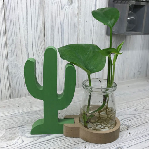 Üveg gyökereztető váza zöld kaktusszal